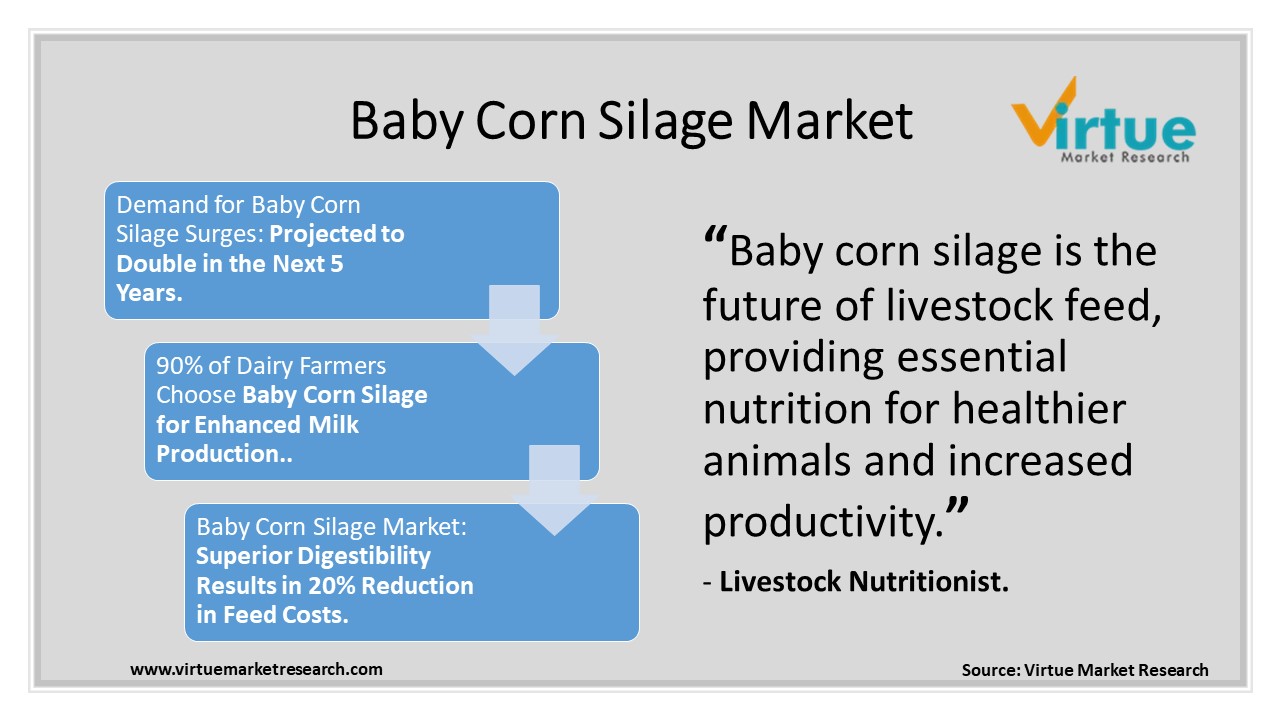 Baby Corn Silage Market